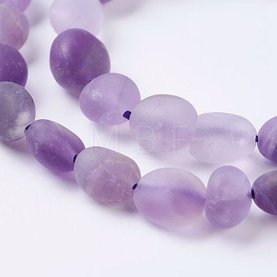 Natural Amethyst Bead Strands G-J374-02-1