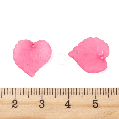 Transparent Acrylic Pendants PL591-3-1