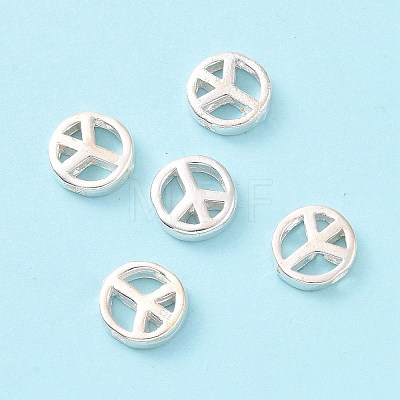 925 Sterling Silver Beads STER-A010-165-1