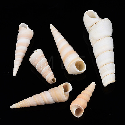 Natural Spiral Shell Beads SSHEL-S266-030-1