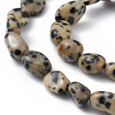Natural Dalmatian Jasper Beads Strands G-B039-03A-1