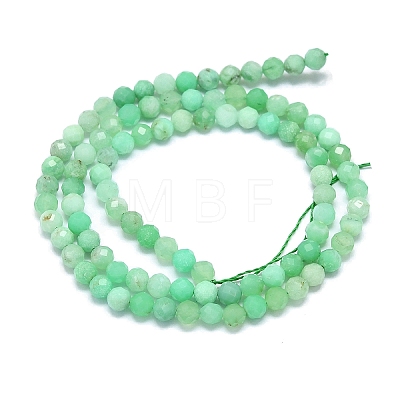 Natural Chrysoprase Beads Strands G-G106-C01-03-1