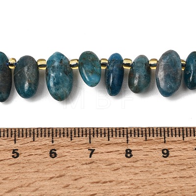 Natural Apatite Beads Strands GG-CBADF20-A08-1