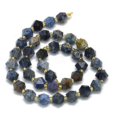 Natural Gemstone Beads Strand G-I376-A15-01-1