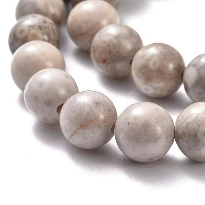 Natural Maifanite/Maifan Stone Beads Strands X-G-I187-8mm-01-1