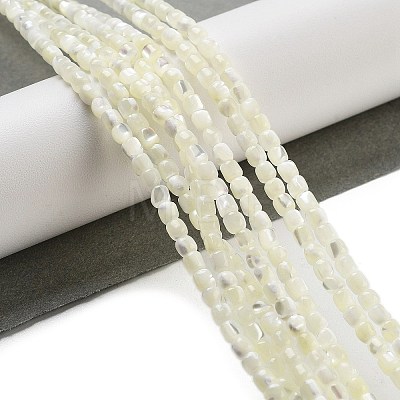 Natural Trochid Shell/Trochus Shell Beads Strands BSHE-G038-01-1