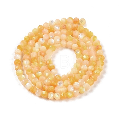 Natural Yellow Shell Beads Strands BSHE-G036-09B-1