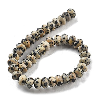 Natural Dalmatian Jasper Beads Strands G-P559-A01-01-1