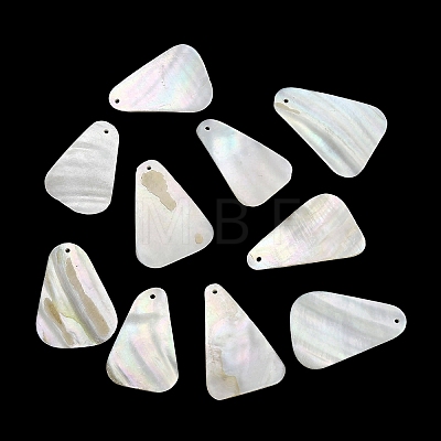 Dyed Natural Shell Pendants SHEL-C010-13B-1