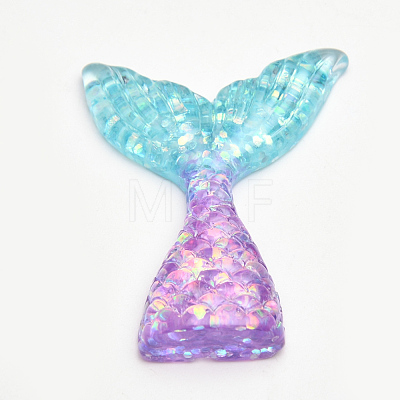 Resin Cabochons X-CRES-Q196-26H-1