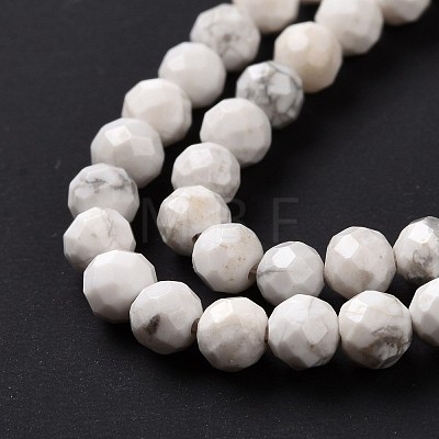 Natural Howlite Beads Strands G-H273-02C-1