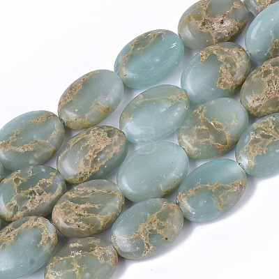 Natural Aqua Terra Jasper Beads Strands G-S366-015B-1