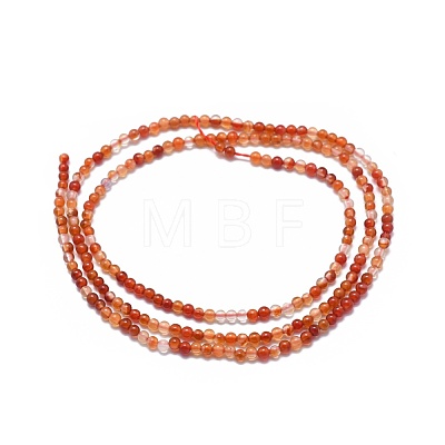 Natural Carnelian Beads Strands X-G-A177-04-19-1
