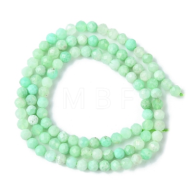 Natural Chrysoprase Beads Strands G-F748-X01-03A-1