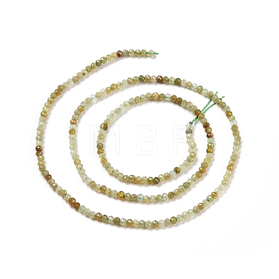 Natural Green Garnet Beads Strands G-C009-A23-1
