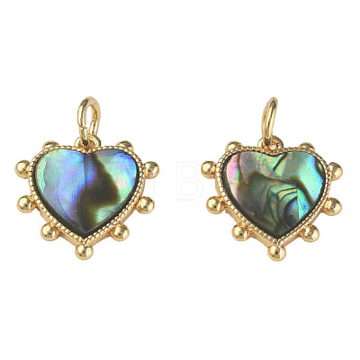 Synthetic Abalone Shell/Paua Shell Charms KK-N233-216-1