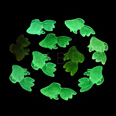 Luminous Transparent Acrylic Pendants TACR-P010-04-1