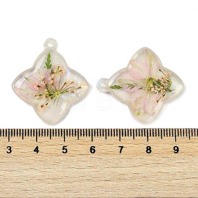 Epoxy Resin Pendants RESI-S09-01O-RS-1