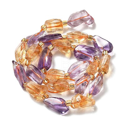 Natural Citrine & Amethyst Beads Strands G-H074-C01-01-1