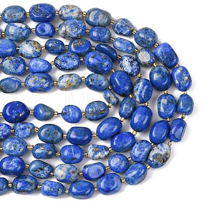 Natural Lapis Lazuli Beads Strands G-G453-D11-01-1