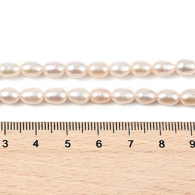 Natural Cultured Freshwater Pearl Beads Strands PEAR-I007-01A-03A-1