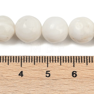 Natural White Shell Beads Strands BSHE-U001-01A-1