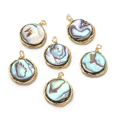 Natural Abalone Shell/Paua Shell Pendants G-K341-16G-1