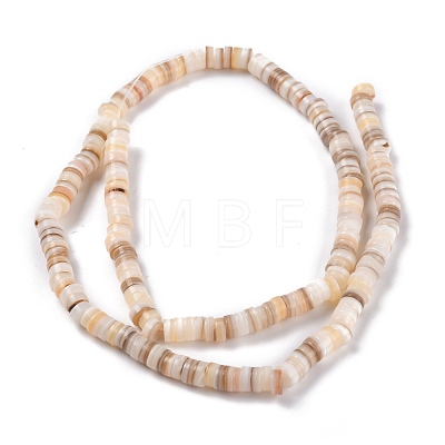 Natural Shell Beads BSHE-B003-13A-01-1