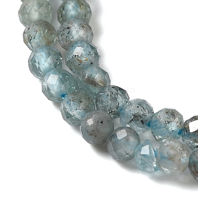 Natural Apatite Beads Strands G-C137-A01-01-1