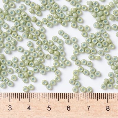 MIYUKI Round Rocailles Beads X-SEED-G008-RR4473-1