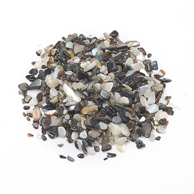 Natural Freshwater Shell Beads X-BSHE-I011-03A-1