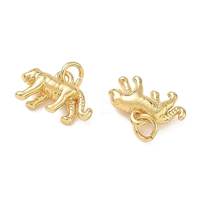 Brass Charms KK-D289-34C-G-1