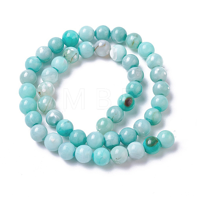 Natural Dyed Agate Imitation Turquoise Beads Strands G-P425-02A-10mm-1