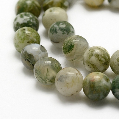 Natural Tree Agate Beads Strands G-K194-6mm-02-1