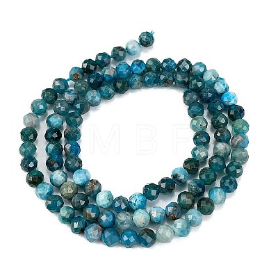 Natural Apatite Beads Strands G-C127-A01-02-1