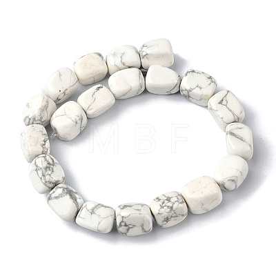 Natural Howlite Beads Strands G-F743-02S-1