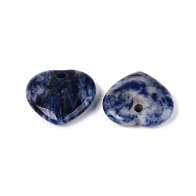 Natural Sodalite Pendants G-Q601-29B-1
