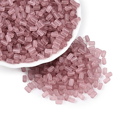 FGB Frosted Transparent Glass Seed Beads SEED-N013-05A-06-1