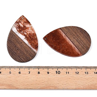 Transparent Resin & Walnut Wood Big Pendants RESI-T058-05D-1