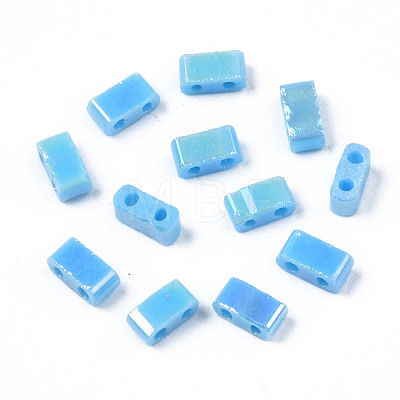 2-Hole Opaque Glass Seed Beads SEED-N004-002-B01-1