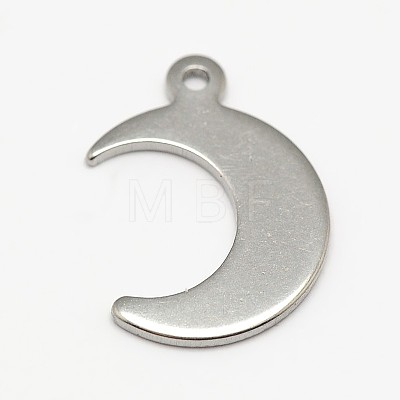304 Stainless Steel Charms STAS-M037-09-1