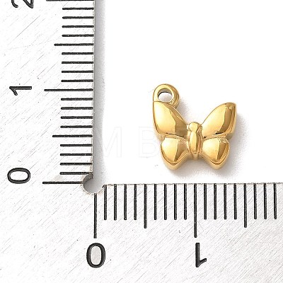 304 Stainless Steel Charms STAS-G352-19G-1