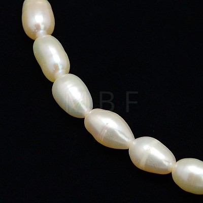 Natural Cultured Freshwater Pearl Beads Strands PEAR-L001-16-1