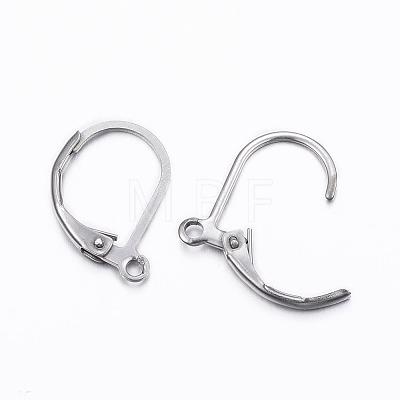 Tarnish Resistant 304 Stainless Steel Leverback Earring Findings STAS-H376-101-1