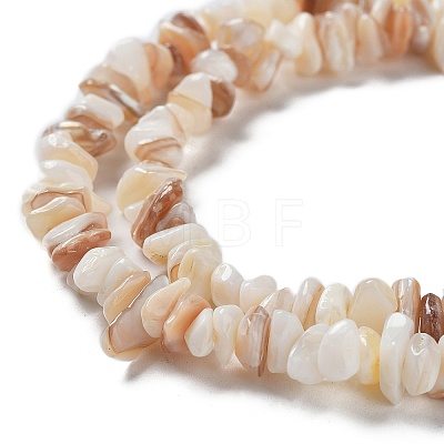 Natural Shell Beads Strands G-F328-45-1