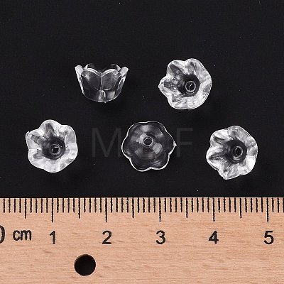 Transparent Acrylic Beads LS-X-PL548-1-1