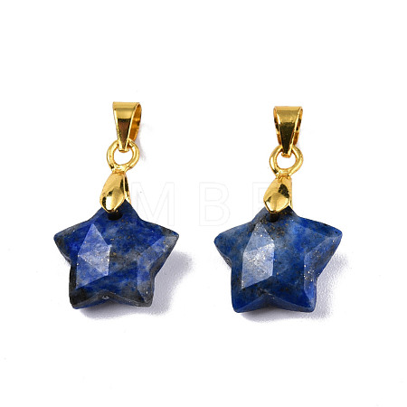 Natural Lapis Lazuli Charms G-N326-142-02-1