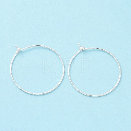 925 Sterling Silver Hoop Earring Findings STER-D035-24S-1