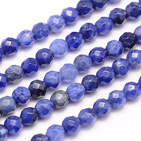 Natural Sodalite Beads Strands G-G545-16-1