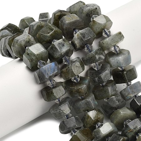 Natural Labradorite Beads Strands G-L642-H05-01-1